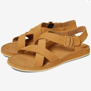 Chaco Wayfarer Suede Doe